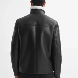 Andrea stand collar shearling leather coat back