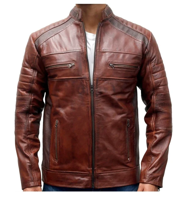 Celeste Cafe Racer Jacket in Brown Leather